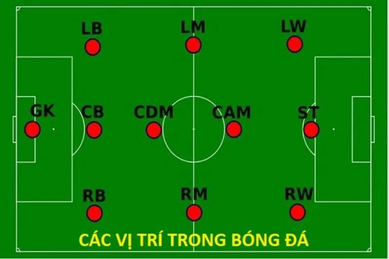 LM trong bóng đá là gì? LM trong bóng đá là gì?