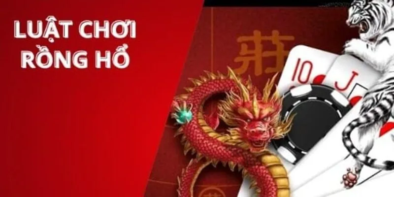 Thông tin chi tiết về cách chơi rồng hổ newbie cần nắm rõ 