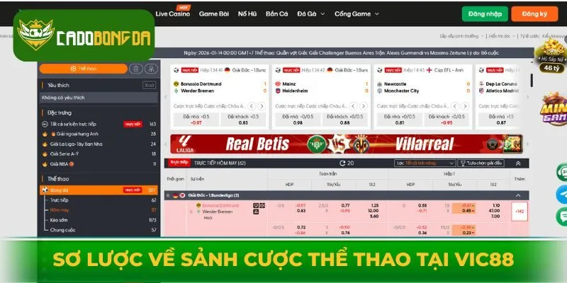 Sơ lược về sảnh cược thể thao tại Vic88